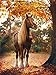 Produktbild DFKJ 5D DIY Diamantmalerei Full Round Horse Cross Stitch Stickerei Diamond Mosaic Animal Art Bild von Strass A2 30x40cm