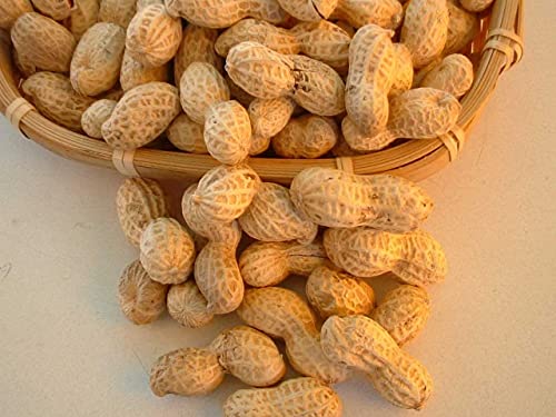 【天日干し煎ざや 400gx5】《千葉半立》千葉県産、八街産落花生、ピーナッツ、国産