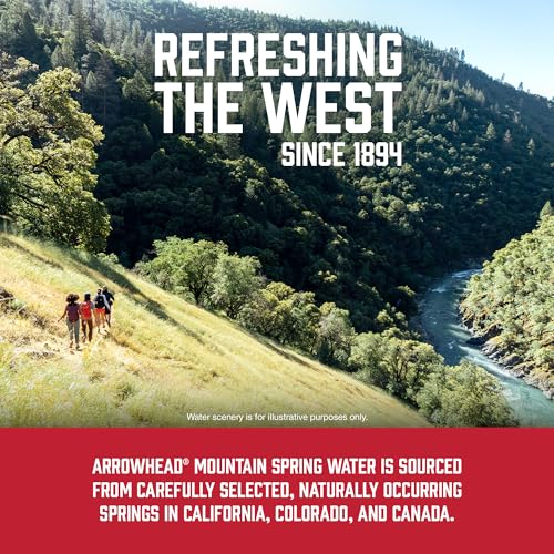 Image of Arrowhead Mountain Spring Water Bottles, 12 Pack - Still Bottled Water with Naturally Occurring Minerals for Taste - 16.9 Fl Oz