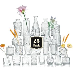 25Pcs Glass Bud Vase Set, Small Flower Vase for Centerpieces, Clear Bud Vases in Bulk, Mini Vintage Vase for Rustic Wedding Decorations