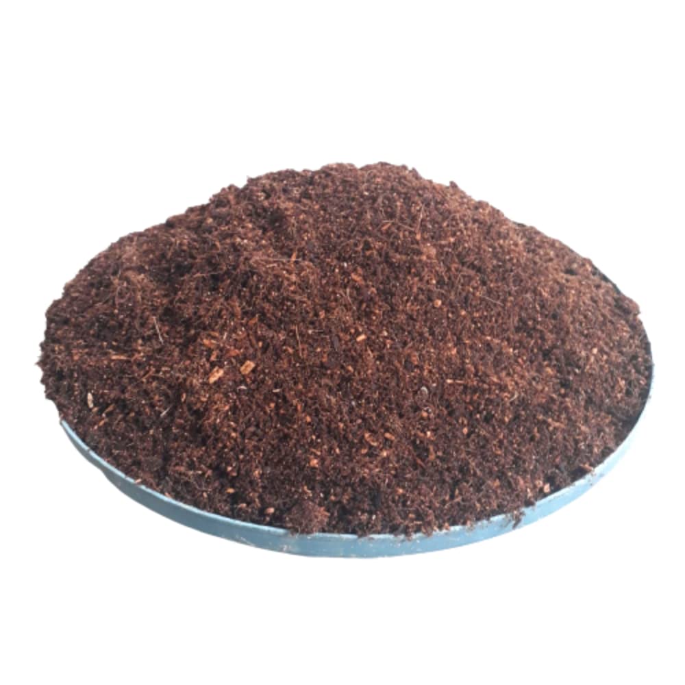 See full amazon price history chart for Cocopeat Brick for Plants & Gardening, Expands into Coco Peat Powder 1kg Bullet Points: Cocopeat Brick for Plants & Gardening, Expands into Coco Peat Powder 1kg Bullet Points: (B09W9TGGTG) Amazon Price History, Amazon Price Tracker