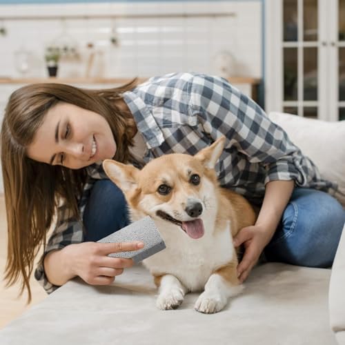 CVASNF 4 Stück Trimmstein für Hunde, Bimsstein Hund Trimmen Haustier Bimsstein Fußpflege Pumice Stone Haarentfernung Tierhaare Hornhautentferner Werkzeug für Couch Möbel Bettwäsc