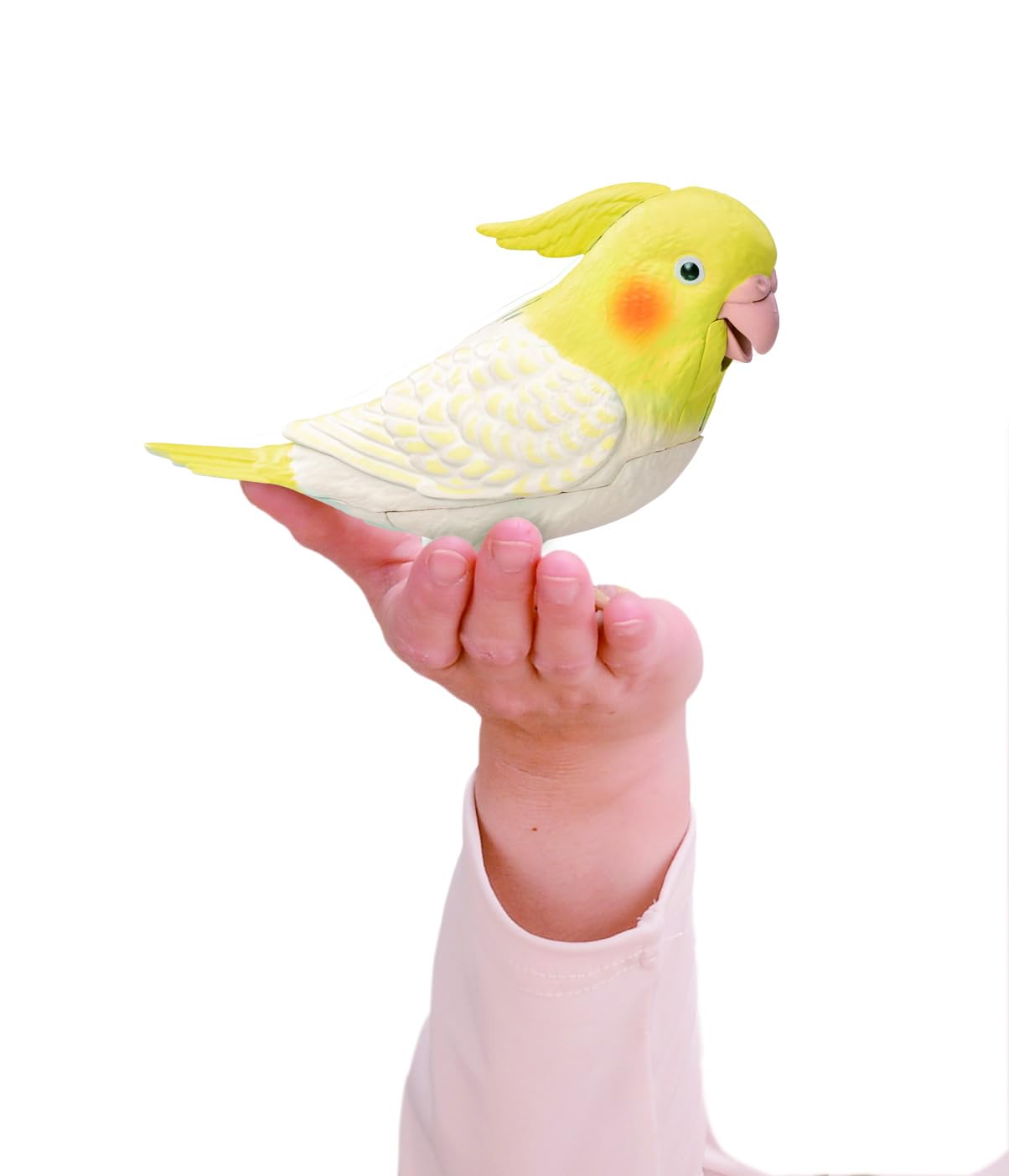 Amazon.co.jp: もっとおしゃべり天才オカメインコちゃん しゃべる