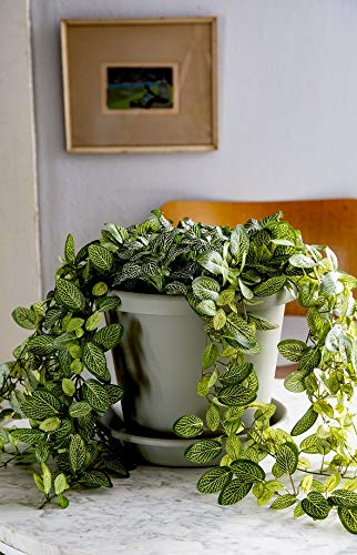 The Hc Companies 14 Inch Round Plastic Classic Plant Saucer - Indoor Outdoor Plant Trays For Pots - 14"X14"X2.5" Sandstone #TOP1