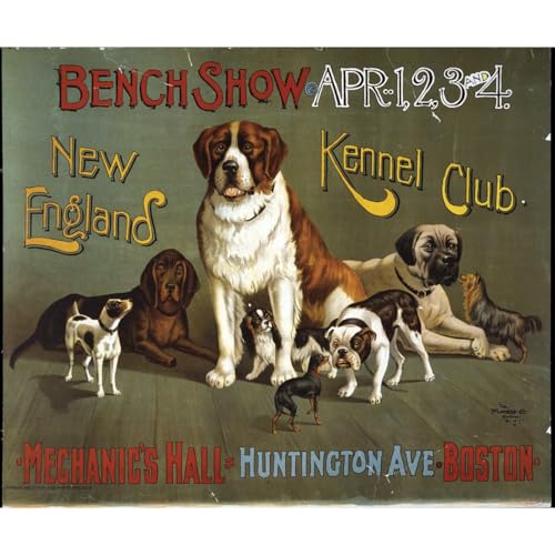 Poster Kennel Club ARTICULOZY 76x101 cm pour décoration murale