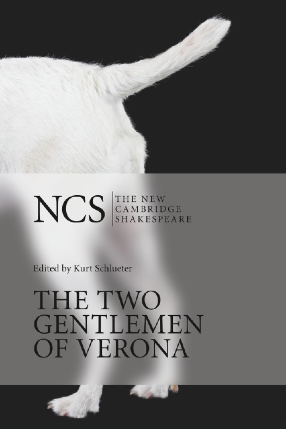 The Two Gentlemen of Verona (The New Cambridge Shakespeare)