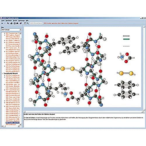 Image of 3B Scientific GmbH W13541 The Structure of Matter I