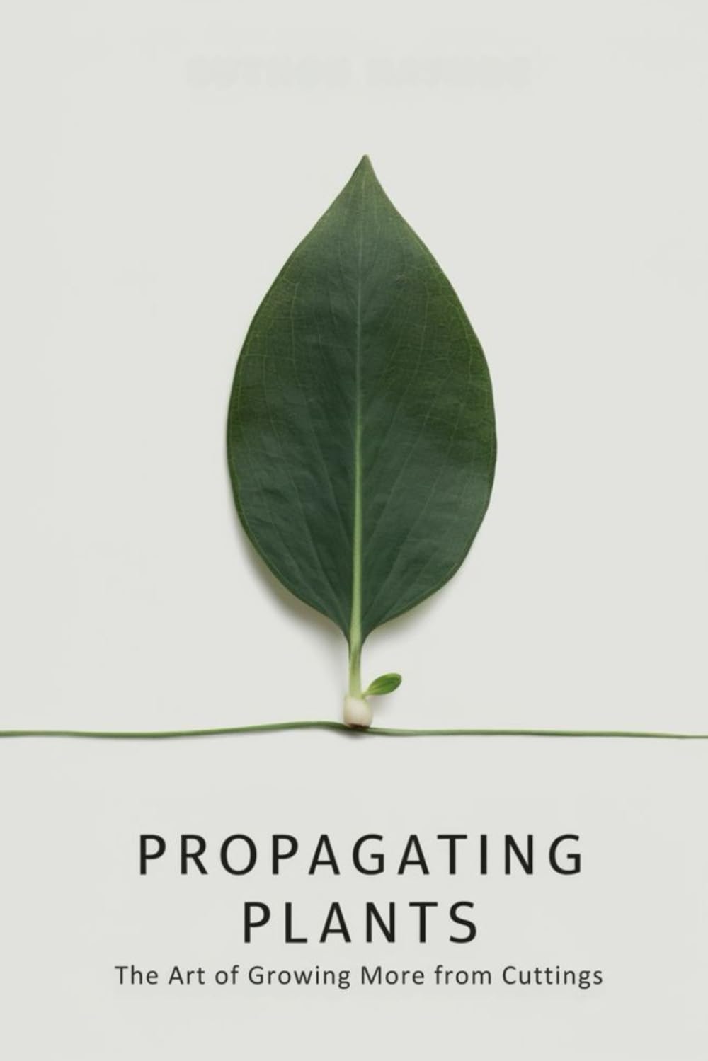 Propagating Plants: The Art of Growing More from Cuttings