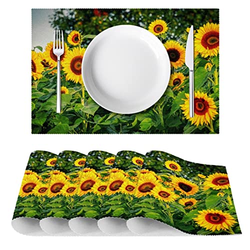Sets de table d'été lavables en tissu Oxford résistant à la chaleur - 3