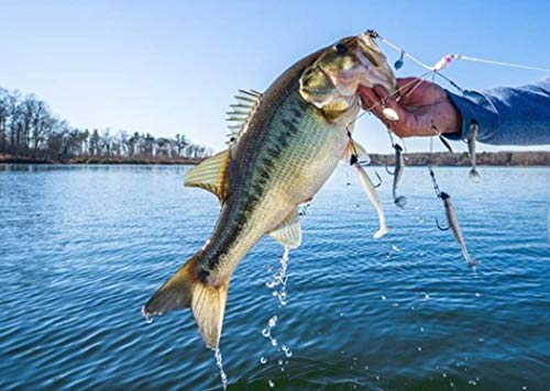 Yum Lures Yumbrella Señuelo Multi-Lure de 7 Pulgadas Rig de 5 Cables, Tennesse Special, Talla Única miniatura 2