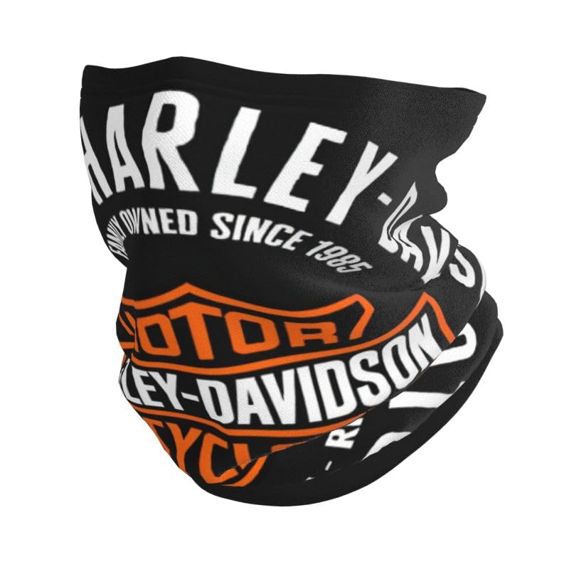 Harley Davidson Essential für Kalte Europäische Touren:...