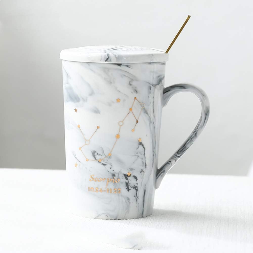 Ynsfree 12 OZ Ceramic Coffee Mugs Juice Tea Coffee Cups and Saucer Twelve Constellations Romantic Gift For Friends,Sisters,Brother,Father,Mom,Men,Wife,Boss,Anniversary (Scorpio-Grey)