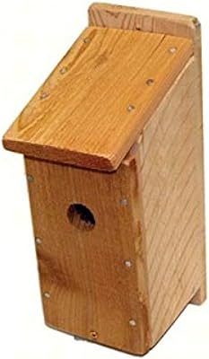 Amazon Com Songbird Essentials Diy Build A Birdhouse Bluebird Kit Made Of Cedar Wood Great Project For Kids Birdhouse Kits Patio Lawn Garden