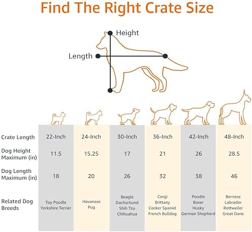 Miniatura 3 de Tienda Basics Caja de perro duradera y plegable de alambre de metal con bandeja, puerta individual, 22 pulgadas, color negro