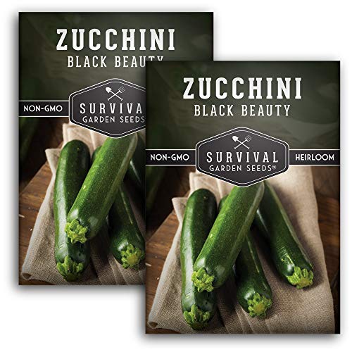 Black Beauty Zucchini Seeds for Planting - Heirloom Summer Squash