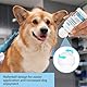 Oivolii Natürlicher Hautpflege Roll-On für Hunde & Katzen (70 ml) – Beruhigt Juckreiz & Allergien – Kokosöl Feuchtigkeitsspender bei trockener Haut & Hot Spots – Schnelle Linderung
