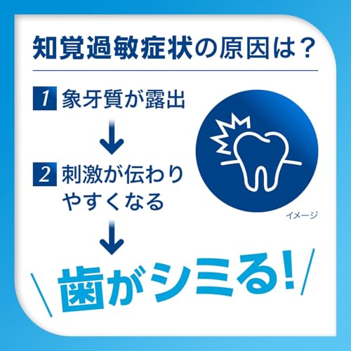 シュミテクト やさしくホワイトニングEX【医薬部外品】 の商品画像 3