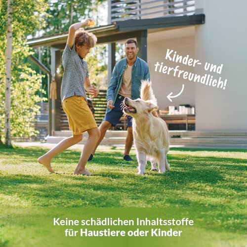 TerraDomi Rasendünger Herbst 10kg für 250m² | ohne Chlorid | Kalium Dünger für starke Wurzeln macht den Rasen winterfest… – Ansicht 5