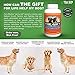 The Gift For Life Canine: Champion Your Dog's Health Journey!