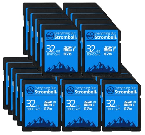 Everything But Stromboli 32GB SDカード (25枚パック) スピードクラス10 UHS-1 32G SDHCメモリーカード 対応カメラ コンピュータ トレイルカム ビデオカムコーダー用