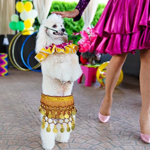 Falda Disfraz Danza del Vientre para Perro Rose 2Pcs miniatura 5