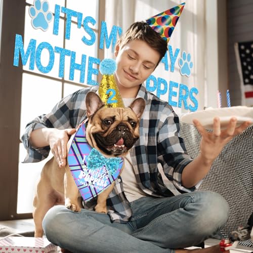 Shinylin 4 peças para decoração de festa de aniversário para cães, bandana de aniversário, chapéu de
