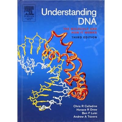 Understanding DNA