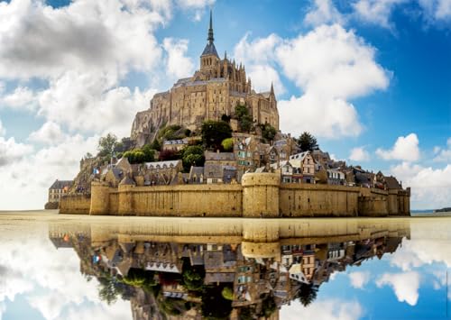 Puzzle 1000 pièces : abbaye du Mont Saint Michel Des racines et des ailes Ravensburger Nathan - vue 8