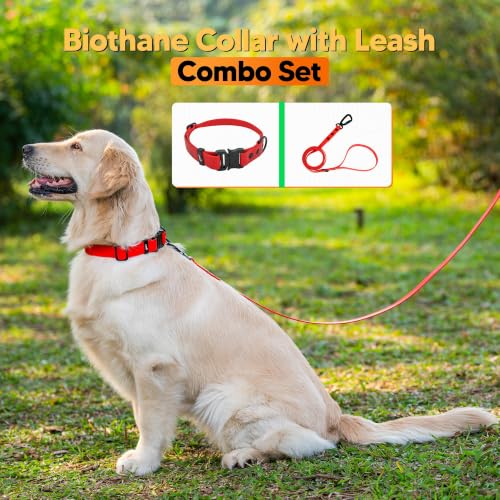Image of Adil's Biothane Waterproof Dog Collar, Dog Leash & Collar Leash Combo | Heavy Duty TPU Coated Webbing | Adjustable Quick Release Buckle | Odour Resistant (Red, M-18, Collar & Leash Combo)
