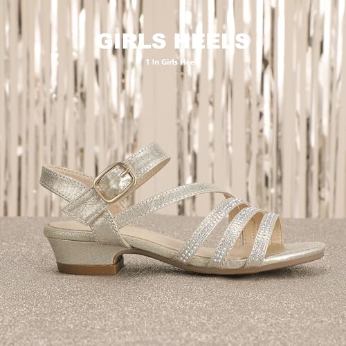 Image of PANDANINJIA Girls Heels Dress Shoes Open Toe Low Heel Sandals Flower Girl Toddler Little Big Kids Wedding Party Shoes