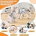 UFO PET Wiederverwendbare Hunde Windeln Weiblich, Läufigkeitshose für Hündinnen XS (3 Stück), Hochsaugfähige Hundewindeln für Hündinnen mit Starkem und Flexiblem Verschluss - Süße Krallen