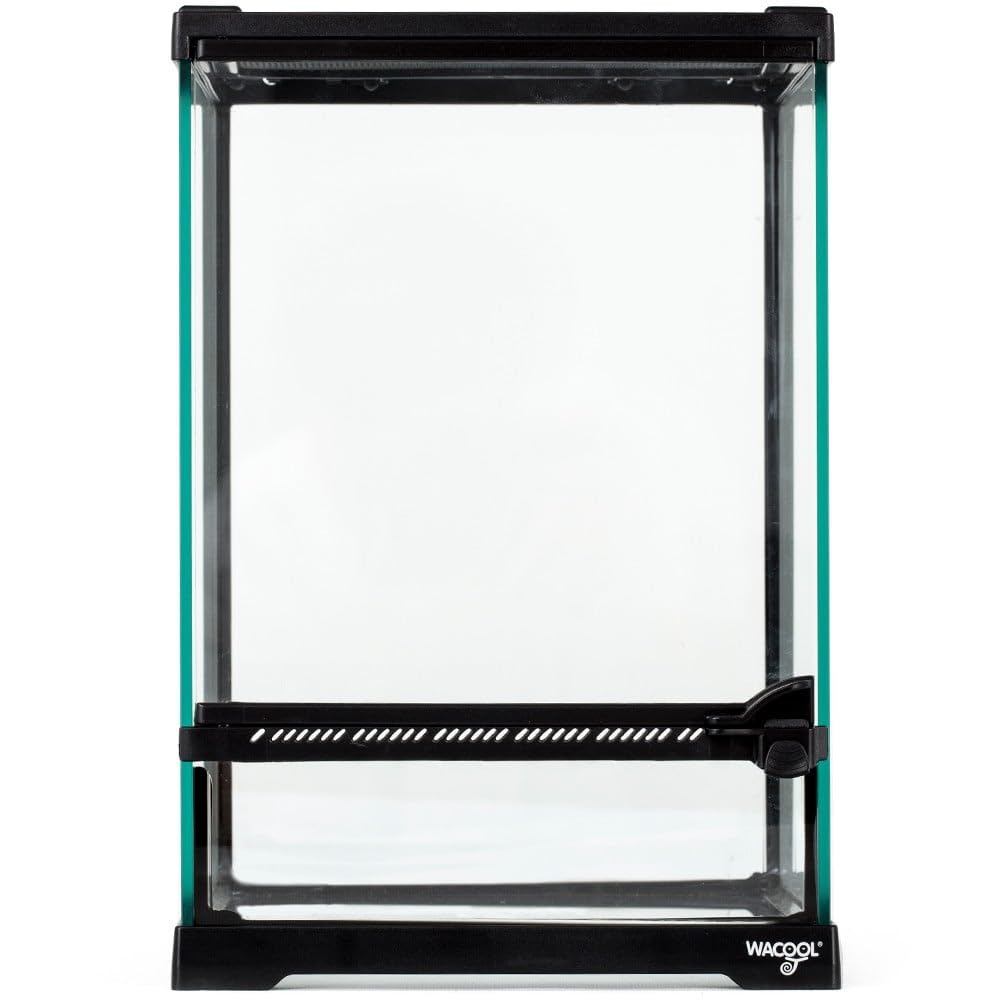 Repti-Zoo Terrario 21 x 21 x 30 cm – Terrario in vetro per rettili, anfibi, aracnidi e insetti