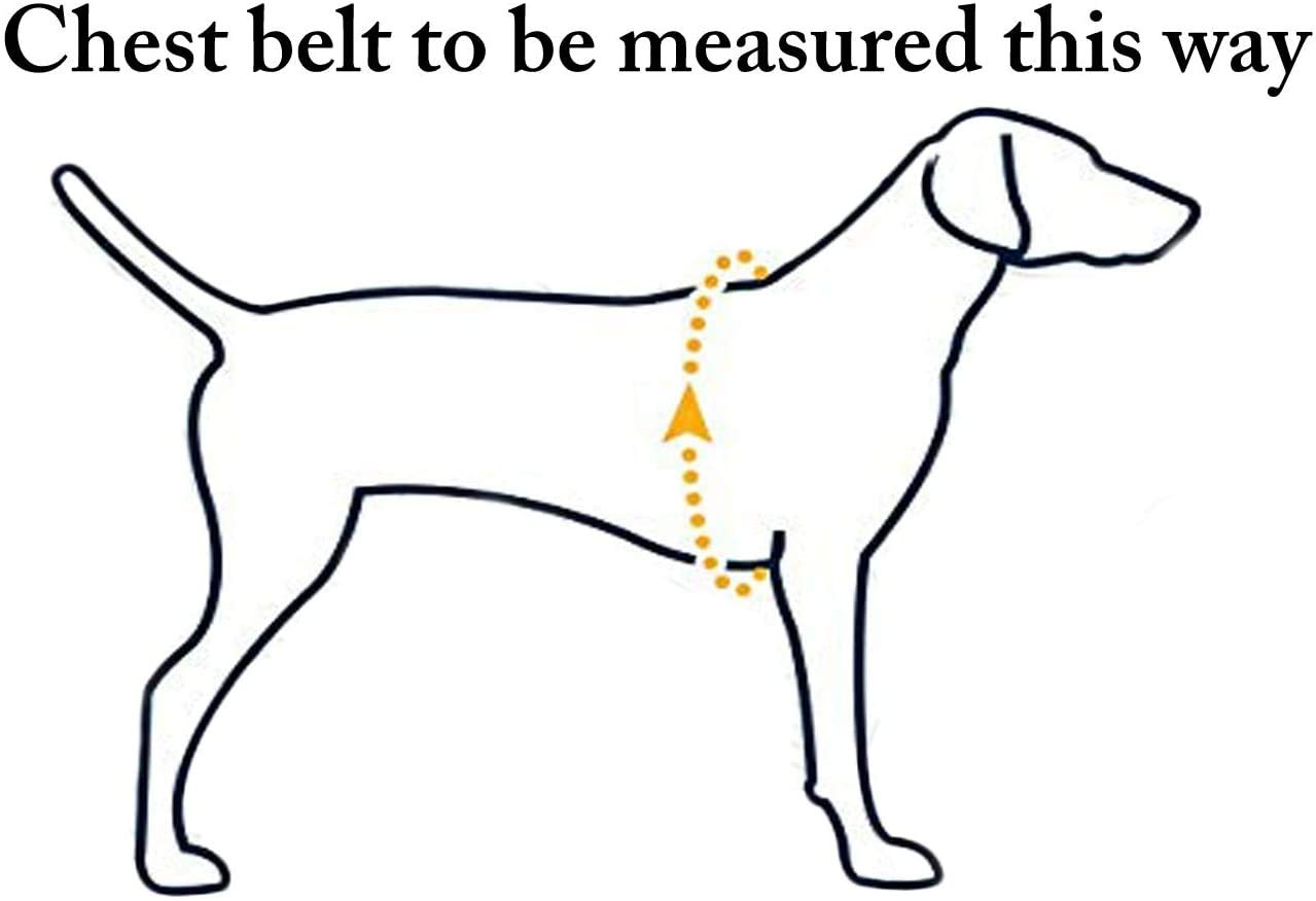 TUGBY XS/S/M/L/XL/XXL Dog Leather Harness Sets with Matching Dog Lead (Black, L) - Image 2