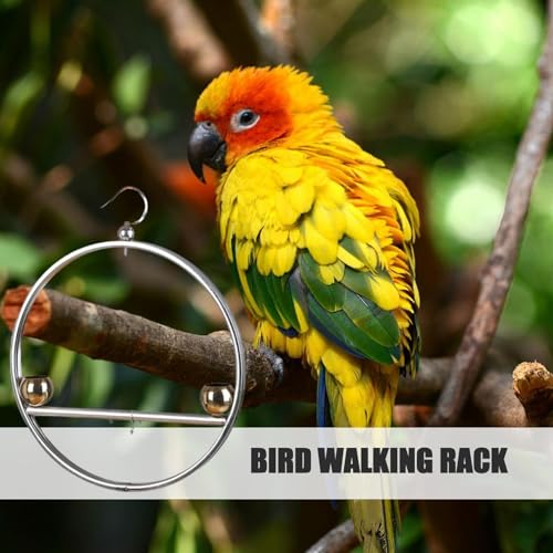 Support à oiseaux antirouille avec perchoir pour perroquet - 3