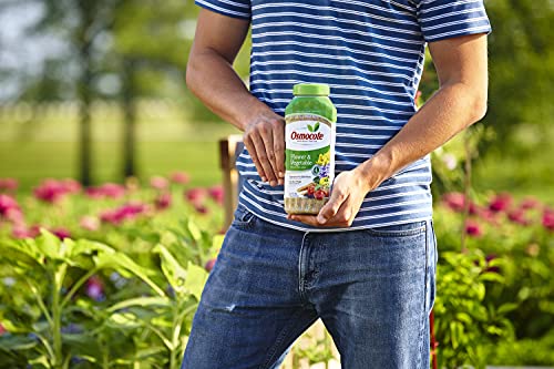 Osmocote 277260 Smart-Release Plant Food Flower & Vegetable thumb #1