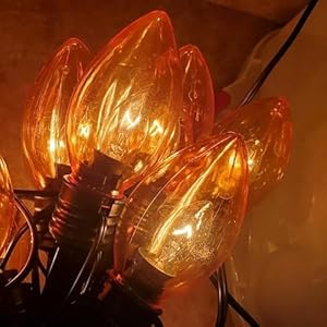 25 Pack C7 Orange Halloween Replacement Bulbs C7 Clear Outdoor String Light Replacement Bulbs, C7/E12 Candelabra Base, 5 Watt 25 Pack C7 Orange Halloween Replacement Bulbs C7 Clear Outdoor String Light Replacement Bulbs C7E12 Candelabra Base 5 Watt
