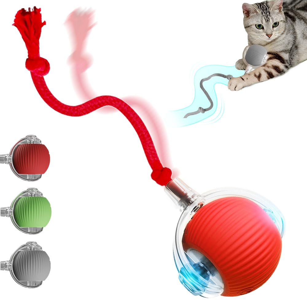 New 2026 Interactive Kitten Toy: Essential Boredom Reliever for Indoor Cats (Red)