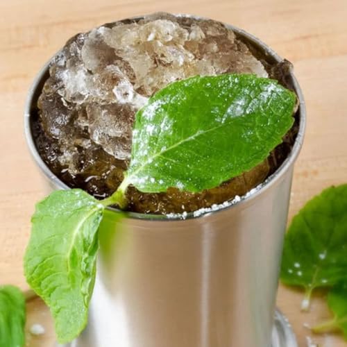 Soro Essentials- 14 oz Stainless Steel Mint Julep Cup Set of 2- Metal Cocktail Glasses Julep Cups Julep Glasses for Beer Juice Beverage Party Bar Home Restaurant Keeps Drinks Cold Longer