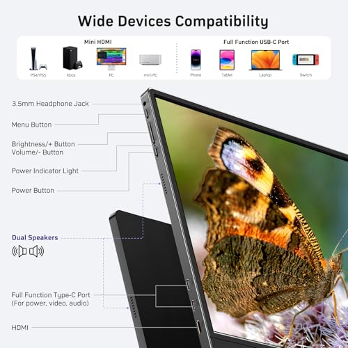 Image of Anyuse 18.5 inch 100Hz FHD IPS USB-C HDMI Portable Monitor