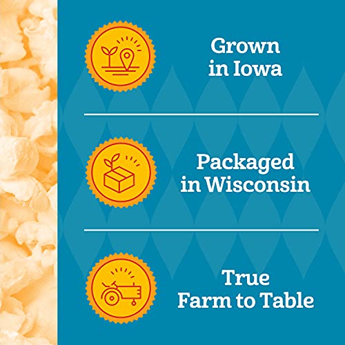Franklin’s Gourmet Popcorn All-In-One Pre-Measured Packs - 4Oz. Pack Of 10 - Butter Flavored Coconut Oil + Butter Salt Popcorn Seasoning + Organic Corn - Authentic Movie Theater Taste – Made In Usa #TOP4
