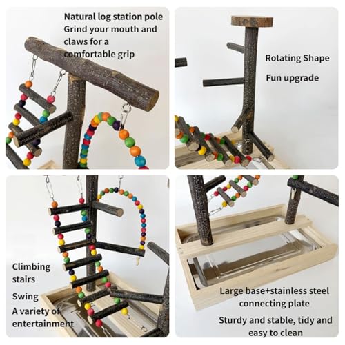 Échelle d'escalade en bois naturel suspendue perroquets perruches