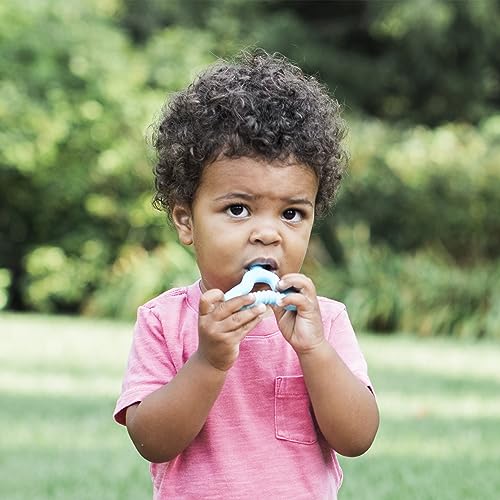 Image of Green Sprouts Silicone Molar Teether, 12mo+, Platinum-Cured Silicone, Sterilizer Safe, Tested for Hormones - Light Blueberry