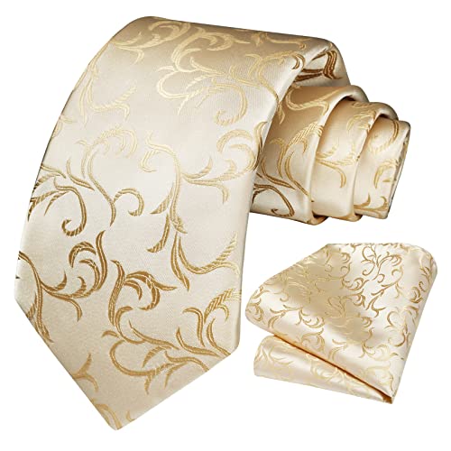 Image of HISDERN Ties for Men Paisley Floral Tie Handkerchief Classic Woven Business Formal Necktie and Pocket Square Set Wedding