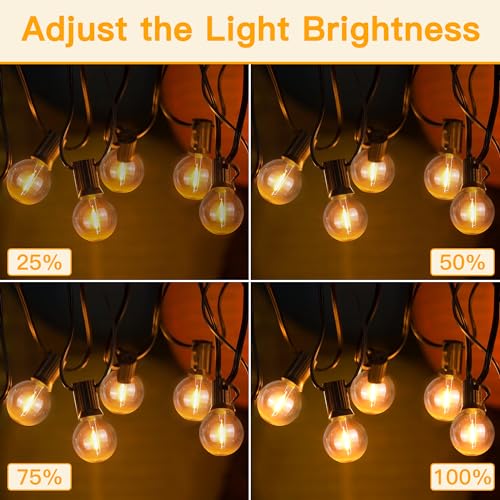 Ollny OC050 Dimmer Switch Two Hole Plug In, Applicable To Ollny G40/St38/S14 Led String Lights thumb #2