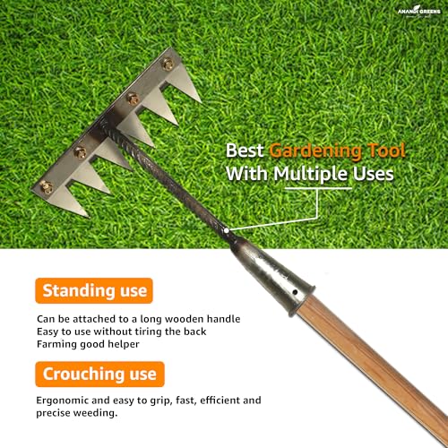 Image of Anandi Green's 6 Teeth Garden Rake Heavy Duty Carbon Steel Rake Handle for Soil Loosening, Weeding, Lawn & Yard Cleaning Multipurpose Outdoor Gardening Tool for Home Farm & Agricultural Use
