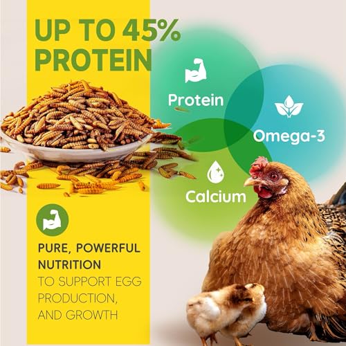 5LB Non-GMO Dried Black Soldier Fly Larvae for Chickens 45% Protein High Calcium Chicken Feed Alternative to Mealworms, Dried BSF Larvae Chicken Treats for Laying Hens Ducks Birds Reptiles - Image 3