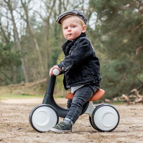 Hippiez Laufrad ab 1 Jahr Freedom – Bild 3