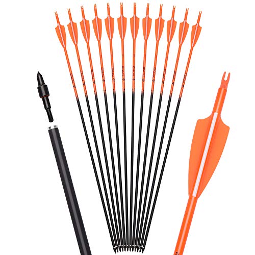 Archey World 28 30 Inch Carbon Arrow Targeting and Practice and Hunting Arrows for Youth Adults Compound Recurve Long Bow with Removable Tips