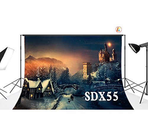 LOVE-BABY Vinile Natale Tema Fondali 10X8FT /