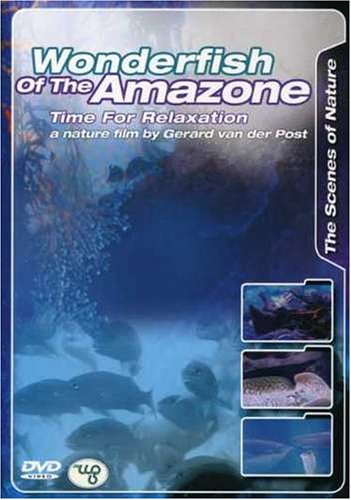 Wonderfish Of The Amazone